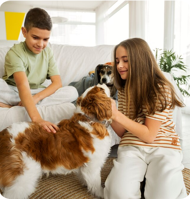 How Indoor Air Quality Affects Your Longevity